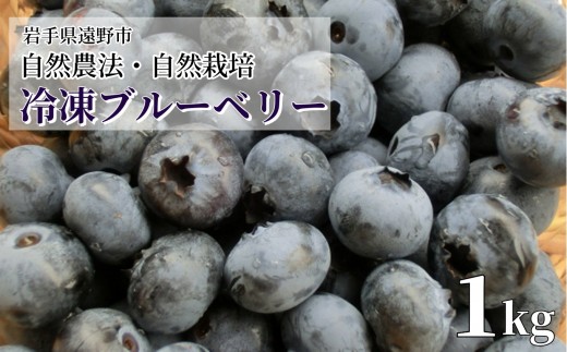 自然農法 自然栽培 冷凍 ブルーベリー 1kg 無農薬栽培 動物性肥料不使用 遠野もぐもぐカントリー 岩手県 遠野市 【2026年7月15日より順次発送】