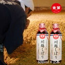 【ふるさと納税】金笛　川越しぼり（合計1.2l） ／ 醤油 しょうゆ しょう油 埼玉県 | 醤油 しょうゆ しょう油 送料無料 埼玉県