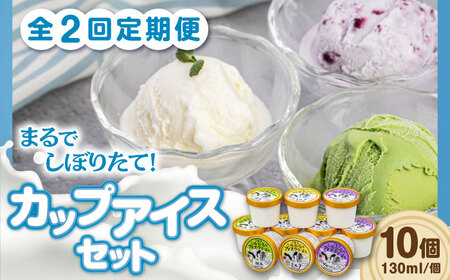 【全2回定期便】ミルク工房 カップアイスセット（130ml×10個）《喜茂別町》【ニセコリゾート観光協会】 アイス セット アイス セット アイス セット アイス セット [AJAI055] 22000 22000円