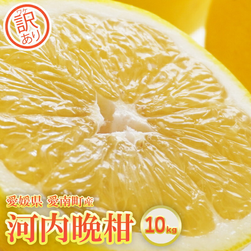 【ふるさと納税】訳あり 河内晩柑 約10kg 晩柑 柑橘 和製 グレープフルーツ 国産 愛媛 みかん 果物 果実 フルーツ 特産品 有名 フルーツ アイランド マルエム 直販 おいしい ビタミン 傷あり 家庭用 愛媛県 愛南町 お届け：2025年6月1日〜8月上旬 (なくなり次第終了)