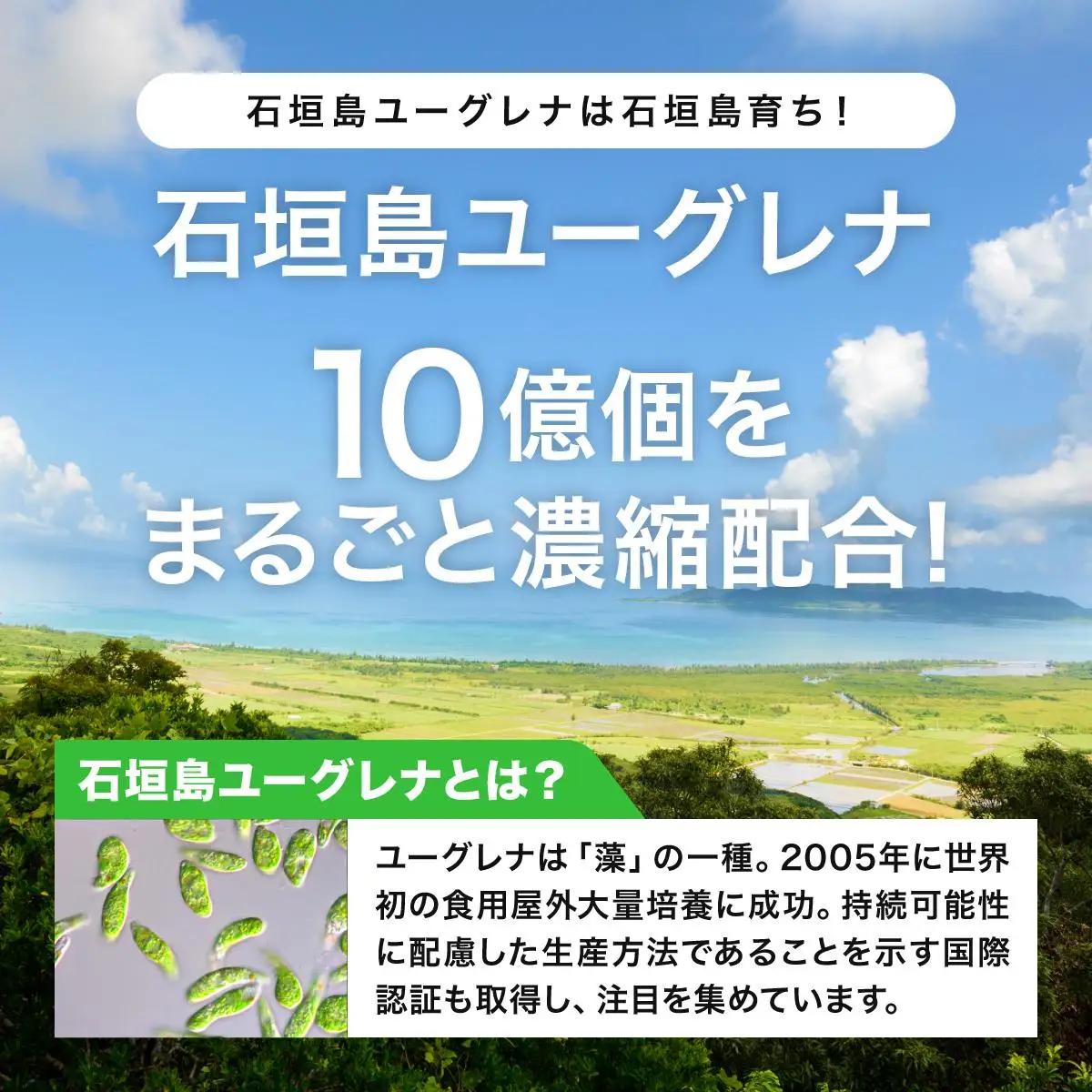 【定期便】《3ヶ月》からだにユーグレナ グリーンスムージー乳酸菌 195g×15本×3回