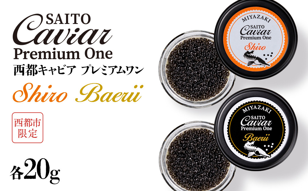 
            SAITO CAVIAR PREMIUM ONE SHIRO 20g・BAERII20g ＜9-10＞キャビア 西都市オリジナル
          