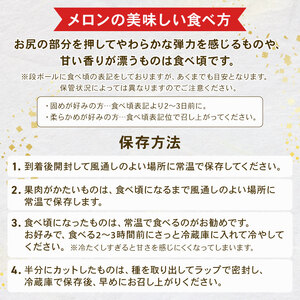 ＜2025年先行予約＞ ブランドメロン 飯岡メロン 3L サイズ × 4玉 セット ブランドメロン ( 計 約5.4kg ) メロン メロン メロン