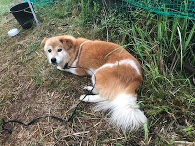 黒髪山葡萄園 赤ワイン 白ワイン 2本セット
