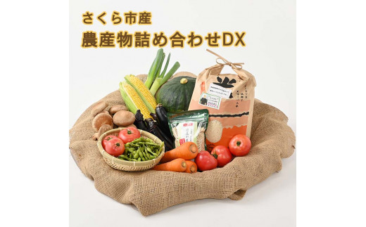 
さくら市産の農産物詰め合わせDX≪野菜 旬の野菜 米 栃木県≫
