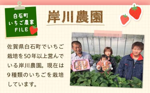 【先行予約】冷凍いちご おまかせ 詰め合わせ 1.5kg【岸川農園】 [IAP001]