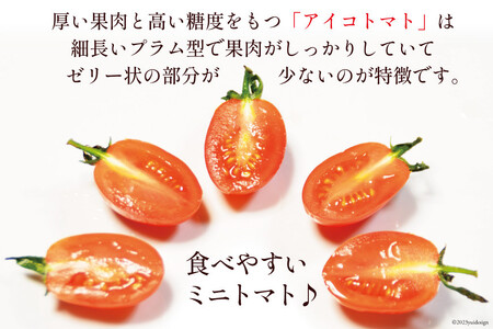 AF014 全国にファンがいる高級フルーツトマト アイコ たっぷり！1kg