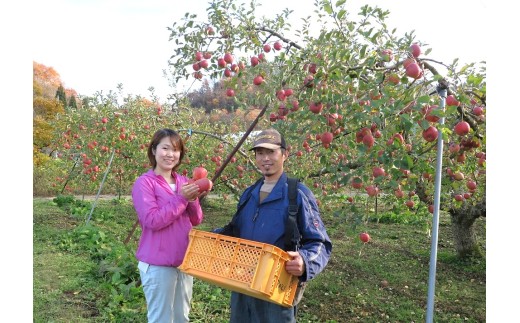 有機肥料栽培　葉とらずサンふじ　上山市産　５ｋｇ　１４～２５玉　ご家庭用　0079-2624