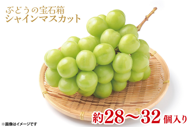
【数量限定！】【シャインマスカット粒どり】ぶどうの宝石箱 【シャインマスカット 粒どり 茨城県 鹿嶋市 葡萄 ブドウ】（KAE-6）
