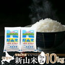 【ふるさと納税】【令和6年産 新米】新山米（ななつぼし）5kg×2袋　10kg 【 ふるさと納税 人気 おすすめ ランキング 北海道 壮瞥 新米 米 白米 ななつぼし 甘い 贈り物 贈物 贈答 ギフト セット 北海道 壮瞥町 送料無料 】 SBTC007