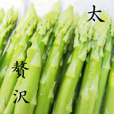 【ふるさと納税】【2025年2月下旬より順次発送】鮮度抜群!やわトロ!アスパラガス『太』【配送不可地域：離島】【1571126】