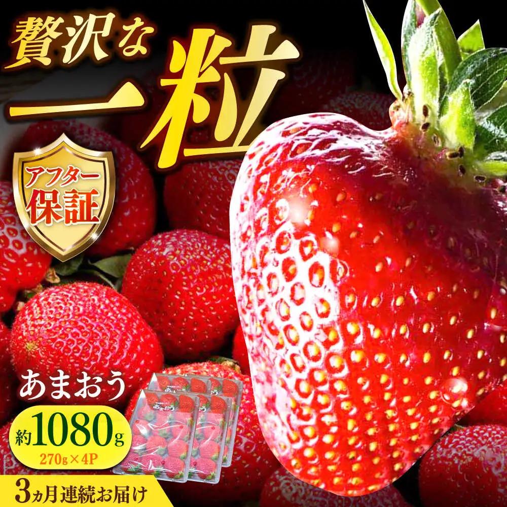 【先行予約】【全3回定期便】 農家直送 朝採り新鮮いちご 約270g×4パック  [ABDG006] いちご