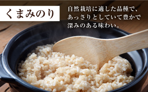 【 令和6年産 新米 】【3回定期便】【木村式自然栽培】 玄米 くまみのり 約20kg ＜ハマソウファーム＞ [CBR023]