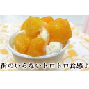 【ふるさと納税】フローズンマンゴー（500g×2袋） 南国 冷凍フルーツ 冷凍マンゴー フローズン フローズンマンゴー 1kg カット カットマンゴー 果実 果物 甘 デザート ひとくち 一口 ダイス 冷凍 ダイスカット 沖縄 おきなわ 国産