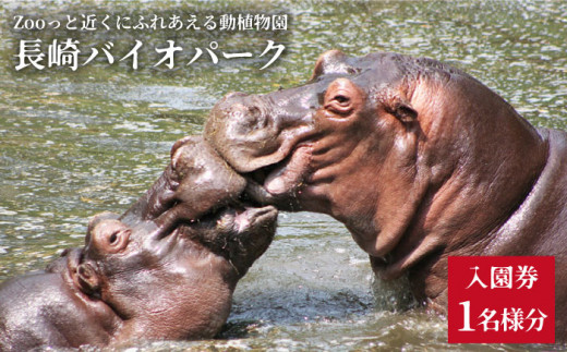 Zooっと近くにふれあえる動植物園の入園券＆割引券＜長崎バイオパーク＞ [CAB001] 動物園 長崎県 西海市 バイオパーク 長崎 体験チケット サファリパーク チケット 体験