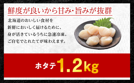【厳選品】　お刺身用ホタテ貝柱　1.2kg【配送不可地域：離島】【1031261】