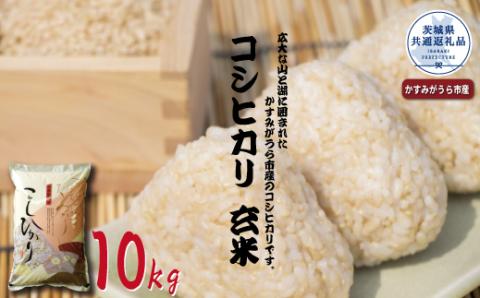 コシヒカリ　玄米10kg（茨城県共通返礼品・かすみがうら市産）