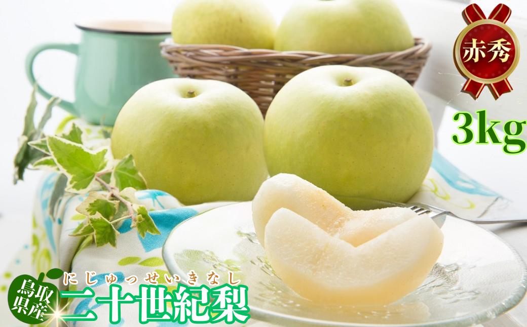 
                  二十世紀梨(赤秀) 3kg【鳥取県 梨 なし ナシ 果物 フルーツ 先行予約 ふるさと納税 甘い 果実 果汁 デザート】
                