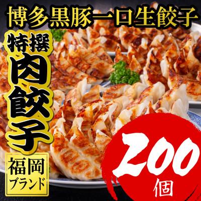 ふるさと納税 福岡市 【200個!!】【福岡ブランド】博多黒豚一口生餃子  8パック小分　福岡県産ラー麦皮使用 SN002