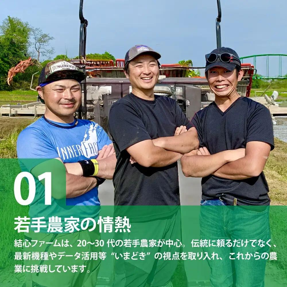 ひとめぼれ 無洗米5kg×12回定期便 ひとめぼれ