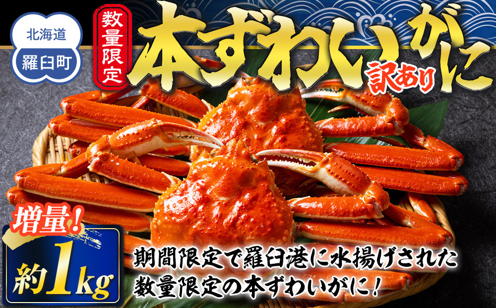 羅臼港本ずわいがに 数量限定 増量1kg ズワイガニ かに カニ 蟹 羅臼町 北海道 魚介 生産者 支援 応援