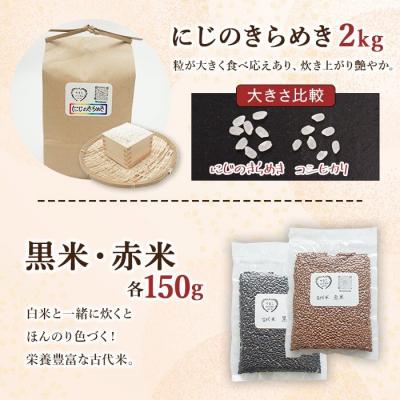 ふるさと納税 西予市 <古代米も入った!やまこのうえんのお米食べ比べセット> お米 コメ ご飯 ライス 穀物 こしひかり |  | 02