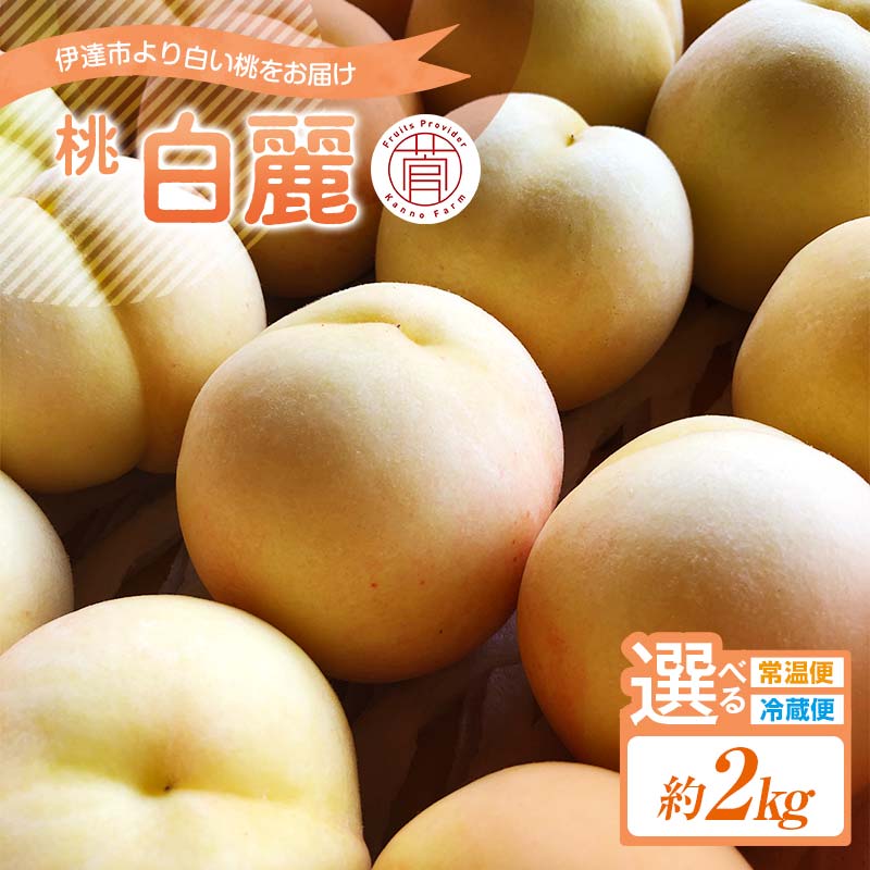 【ふるさと納税】＼選べる配送方法／【2026年出荷分先行予約】福島県産 白麗 約2kg (5～7玉) 常温・冷蔵で配送が選べる 菅野農園FruitsProvider はくれい 白い桃 限定 伊達の桃 フルーツ 果物 もも モモ momo F20C-730var