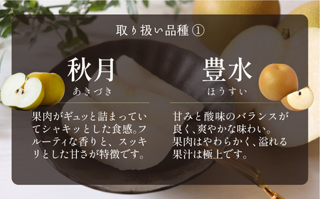 梨 5kg 一流青果店厳選 豊橋 梨