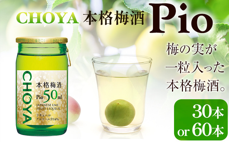 
            本格梅酒 Pio 飲みきりサイズ 50ml 30本 または 60本 羽曳野商工振興株式会社《30日以内に出荷予定(土日祝除く)》大阪府 羽曳野市 梅酒 梅 酒 CHOYA チョーヤ チョーヤ梅酒 お酒 pio
          