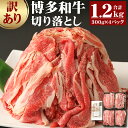 訳あり 柳川産博多和牛 九州産黒毛和牛 切り落とし 300g×4パック 合計1.2kg 博多和牛の黄金カレー 1食付き セット 博多和牛 黒毛和牛 牛肉 お肉 カレー 九州産 国産 冷凍 送料無料