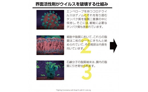 アニオン空気清浄機コロコロ 10畳用 マイナスイオン搭載 ウイルス・花粉・PM2.5・粉塵対応