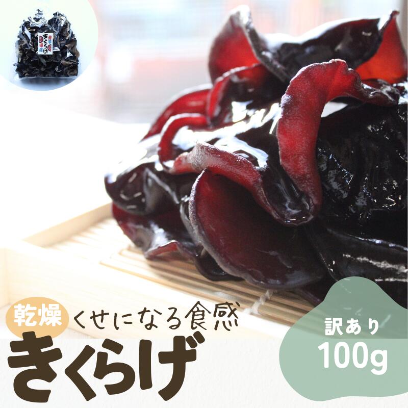 【ふるさと納税】岩手県産 訳あり乾燥きくらげ 100g コリっとプルプル食感がたまらない国産きくらげ / きくらげ 乾燥きくらげ 国産きくらげ キノコ 菌床 岩手県 住田町[#0125_pre]