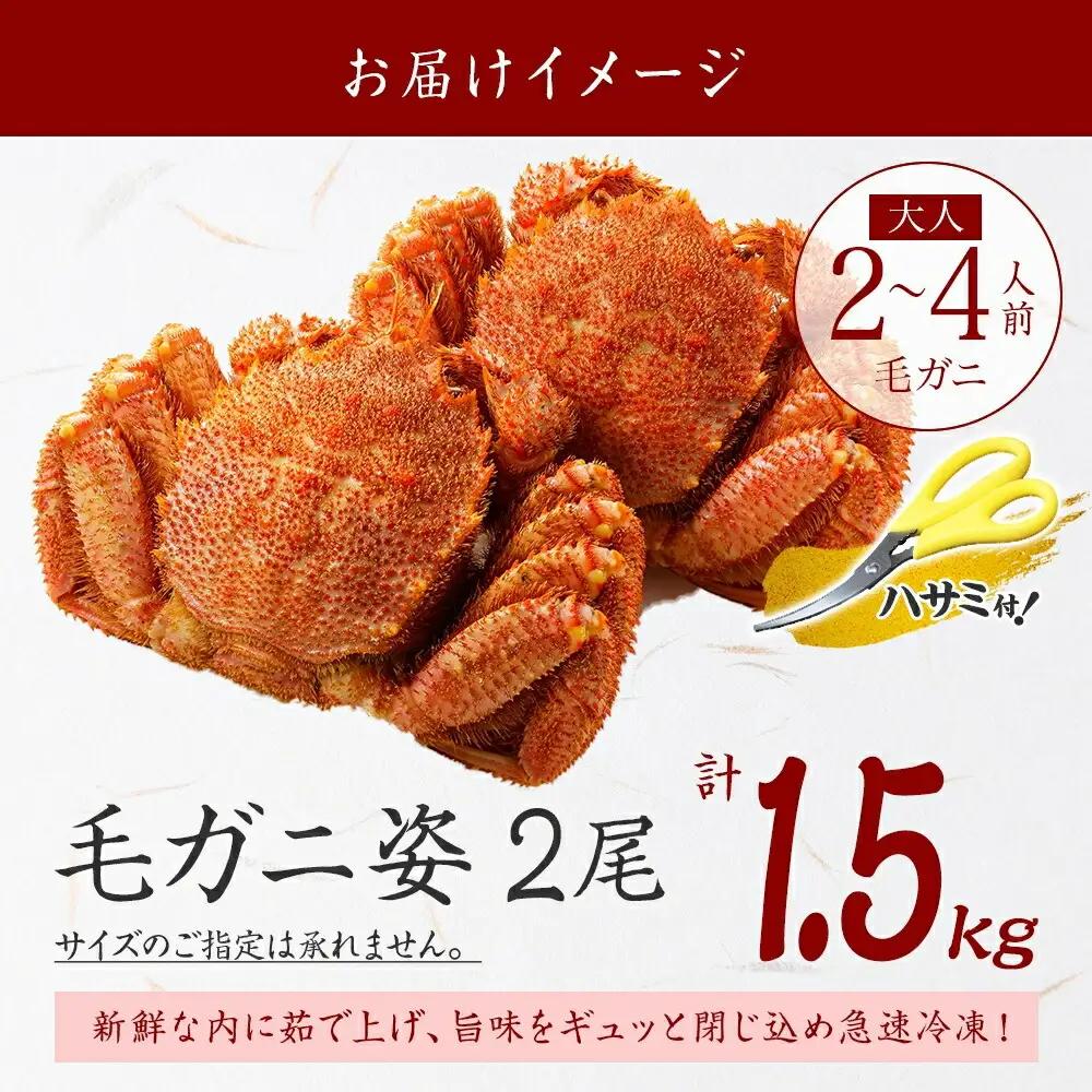 蟹 毛蟹 2尾 計1.5kg前後 食べ方ガイド・専用ハサミ付 カニ かに 蟹 海鮮 ボイル 送料無料 北海道 弟子屈町 3336