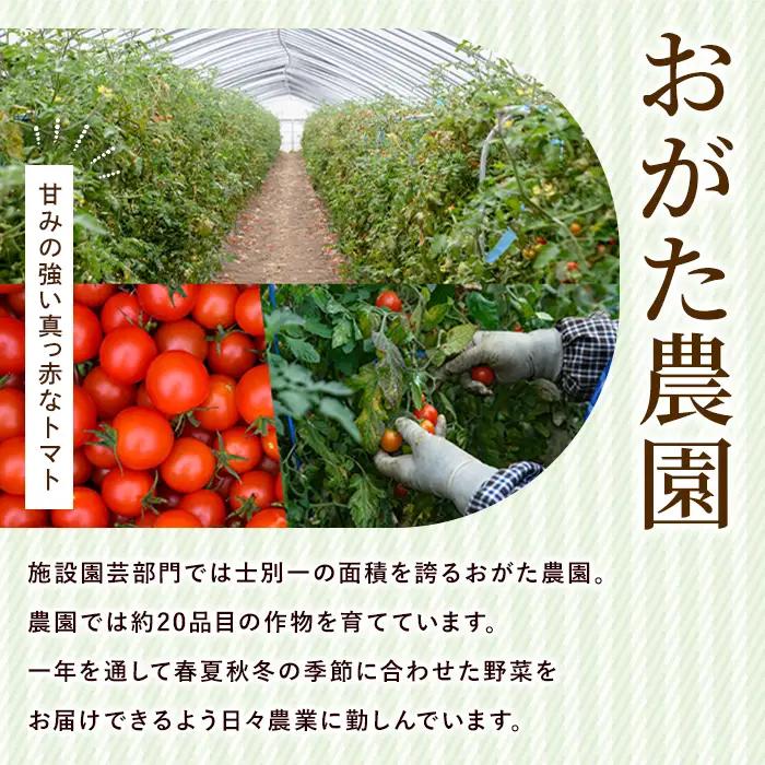 陽の彩 ミニ トマトジュース 1000ml×2本 北海道 士別市【おがた農園】 B7040