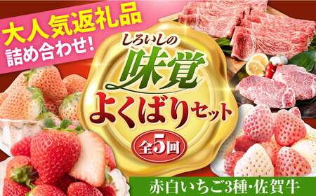 【R8年2月以降発送】【全5回定期便】赤白いちご3種と佐賀牛のセット / いちご [IZZ026]