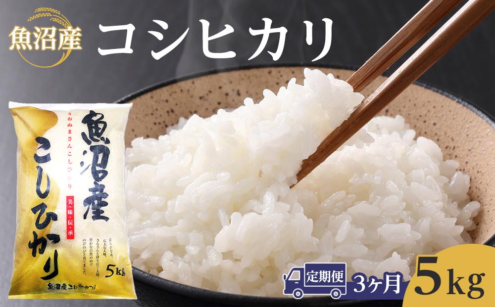 【3ヶ月定期便】令和７年産魚沼産コシヒカリ　5kg 　2025年10月～発送開始｜新潟県　魚沼　こしひかり　令和7年産