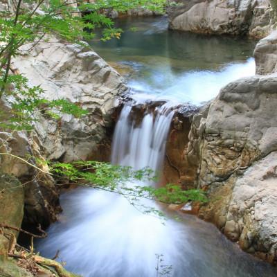 ふるさと納税 東温市 〈坂本自然農場 穂田琉〉 特別栽培米:にこまる　精米2kg |  | 02