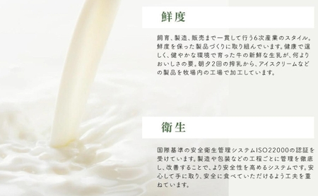 長門牧場アイスクリーム大容量2個セット　贅沢480mlバニラ2個　人気スイーツ　濃厚ミルク　直送　牛乳　生乳　国産　夏ギフト　長野県　贈答品　お土産　お中元　お歳暮　クリスマス