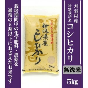 【新潟特別栽培米】【無洗米】刈羽村産コシヒカリ 5kg【1576358】