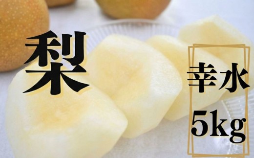梨 幸水 約5kg 5キロ 2026年 先行予約 和梨 なし ナシ こうすい フルーツ 果物 旬の果物 旬のフルーツ お取り寄せ グルメ デザート 人気 おすすめ サングリーン旭 茨城 鉾田 ほこた