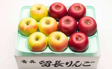 サンふじ・ぐんま名月 詰め合わせ (中玉) 約3kg ［10-11個入］ 【留長果樹園】 青森りんご ふじ ぐんま名月 フルーツ 果物 くだもの 2種 セット 青森県 南部町 三戸 F21U-599