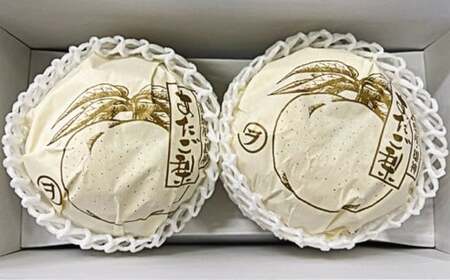 岡山県産 あたご梨 2玉 （約1.7kg） 化粧箱入り 【2026年11月下旬～12月下旬迄発送予定】 ／ なし 和梨 果物 果実 フルーツ 大玉 岡山県 美咲町 常温