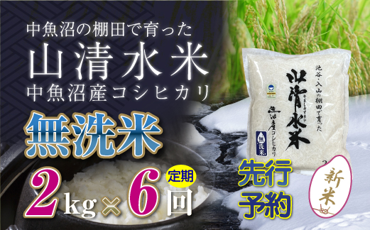 【新米先行受付】【定期便／全6回】無洗米2kg　新潟県魚沼産コシヒカリ「山清水米」