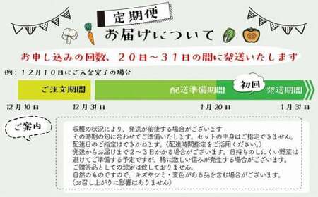 【福岡八女・奥八女】里山の恵み　お野菜＆手仕込みセット定期便【全６回】※配送不可：北海道と離島（沖縄本島を含む）　072-T067