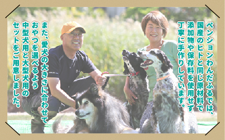 【ペンションわんだふる】犬の無添加おやつ ３種セット【大型犬用】 KBAB002