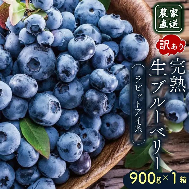 【先行予約】訳あり完熟生ブルーベリー ラビットアイ系 900g (2027年発送) | フルーツ 果物 ベリー