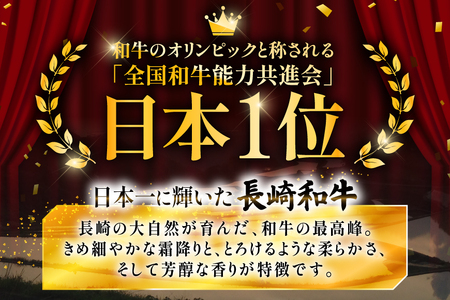 牛肉 和牛 牛一頭プレミアム定期便「長崎和牛をまるごと堪能」 12回 総計17.1kg