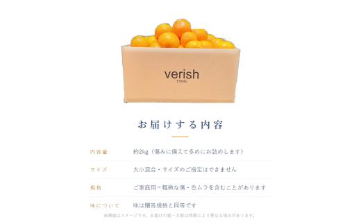 愛果28号 ( 紅まどんな と同品種 ) 家庭用 約2kg 【2026年11月下旬より順次発送】 | あいか 愛媛みかん ミカン 蜜柑 まどんな フルーツ 柑橘 果物 おすすめ 高級 人気 お取り寄せ