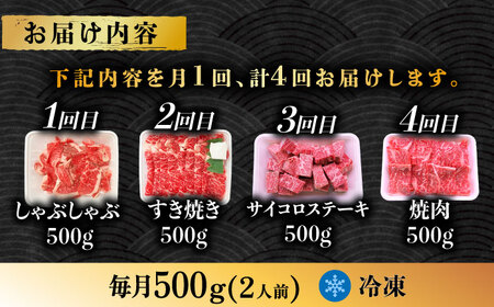 【4回定期便】 飛騨牛を食べつくす！ 飛騨牛 プレミアム 定期便 2人前 ( しゃぶしゃぶ × すき焼き × サイコロステーキ × 焼肉 ) 各500g A4等級以上  多治見市 / 渡辺精肉店 和牛