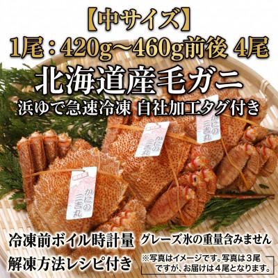 ふるさと納税 白老町 k0903【浜ゆで自社タグ付】北海道産ボイル毛ガニ 420g〜460g前後×4尾